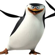Skipper