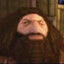 PS1 Hagrid