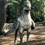 Hippogriff