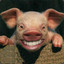 happyPig