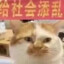 我是超人强越超人越强
