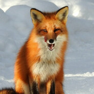 TopFox208
