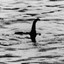 Nessie