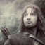 FaRaMiR