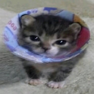 whust0ned avatar