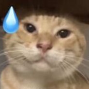 哈基哈基米纳美鲁托