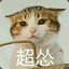 Meow了个咪