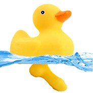 duck avatar