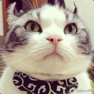 猫大少