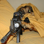 SniperDog