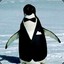 Dapper_Penguin