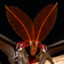 Moth Instinct&#039;s