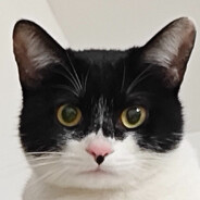 你好达瓦里氏。