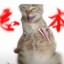 愤怒的泡面