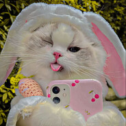 Ɑ͞ ̶͞ ̶͞ ̶͞ ̶͞ ﻝﮞ