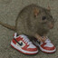 rat man