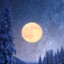 The Snowy Moon