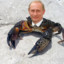 Crabe