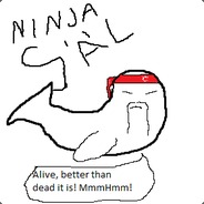 NinjaSäl