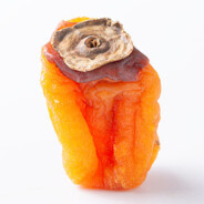 别捏我我是软柿子