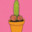 Sexually Attractive Cactus