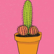 Cactus's avatar