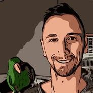 a peacock and a flamingo avatar