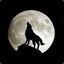 nocturnal wolf