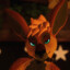Rowan The Kangaroo