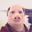 John Pork