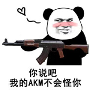 我真不会AK