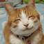 Avatar of Миротворец