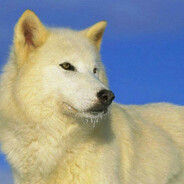 ALi) - steam id 76561199642407980