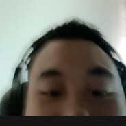 永不落钟大蜜蜂