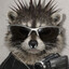Raccoon Fixa Kla