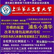 电脑玩家（新手）