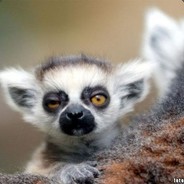 RMD avatar