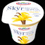 Skyr-Polski