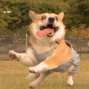 醉酒棒打丈母娘