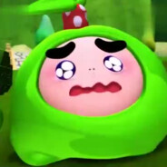 国宝特工路小果