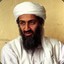 Osama Twin Laden