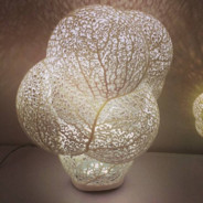 我有医保我也来