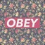 OBEY®♡v|