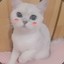 咬一口好甜