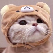 GodYangZzz
