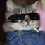 Xenocat