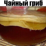 ЧАЙНЫЙ ГРИБ