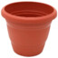 The Flower Pot