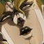 Dio Brando