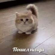 мать твою ебала